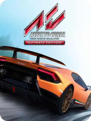 Assetto Corsa Ultimate Edition BUNDLE (?)